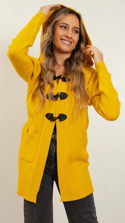 <b> sueter capucha</b> <h5>COD.222</h5>