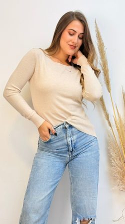 <b> SUETER BASICO</b> <h5>COD. 816</h5>