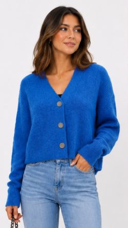<b> CARDIGAN BLUE</b> <h5>COD.A322-V</h5>