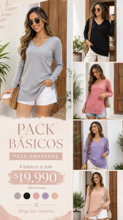<b> PACK DE 4 BASICOS ARACELY</b> <h5>COD.0211-M</h5>