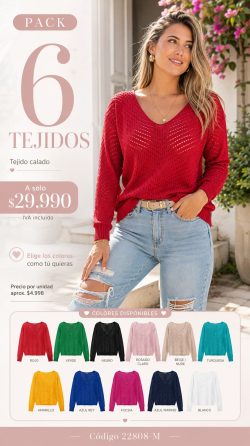 <b>PACK 6 SUETER ANAIS </b> <h5>COD.22808-M</h5>